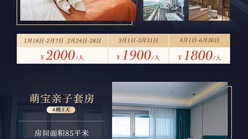 签证加急办理：速度与效率的双重保障**